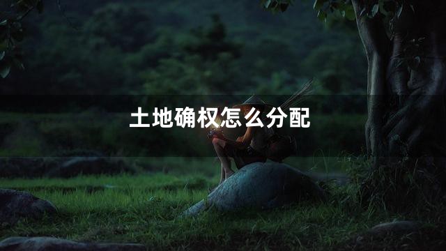 土地确权怎么分配