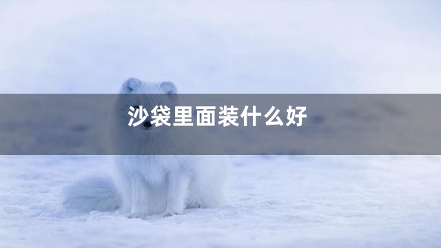 沙袋里面装什么好
