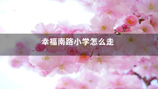 幸福南路小学怎么走