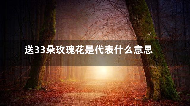 送33朵玫瑰花是代表什么意思