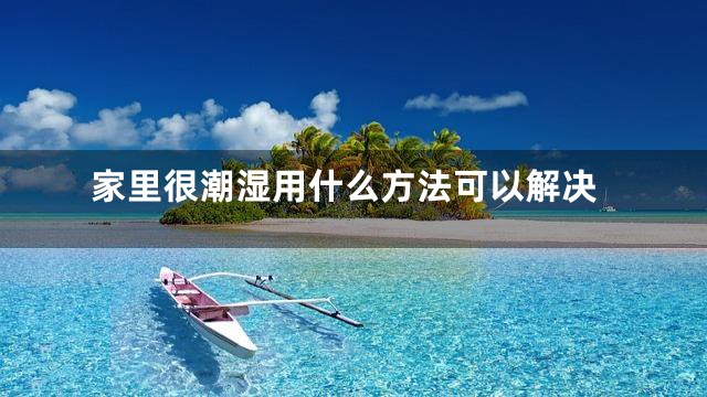 家里很潮湿用什么方法可以解决