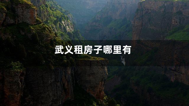 武义租房子哪里有