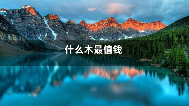 什么木最值钱