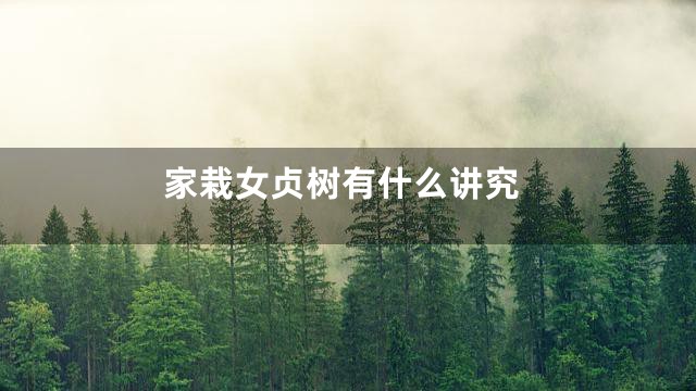 家栽女贞树有什么讲究