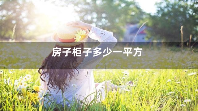 房子柜子多少一平方
