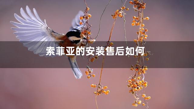 索菲亚的安装售后如何