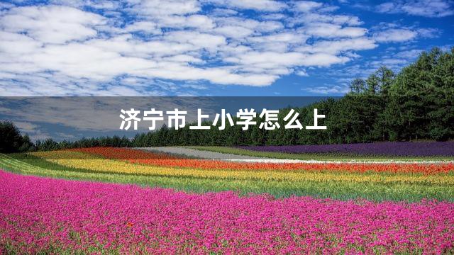济宁市上小学怎么上