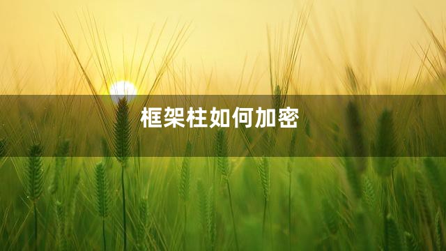 框架柱如何加密