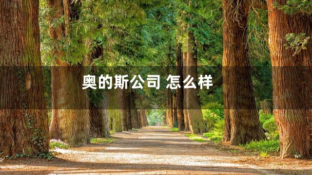 奥的斯公司 怎么样