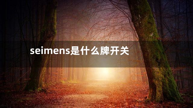 seimens是什么牌开关