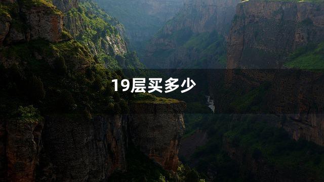 19层买多少