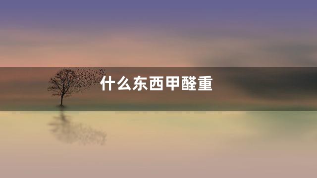 什么东西甲醛重