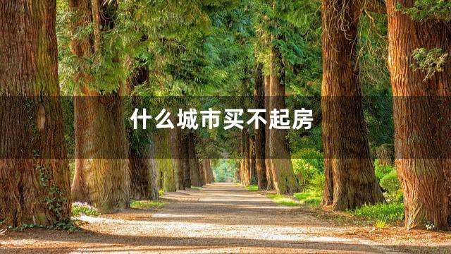什么城市买不起房