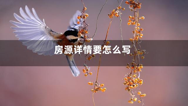 房源详情要怎么写