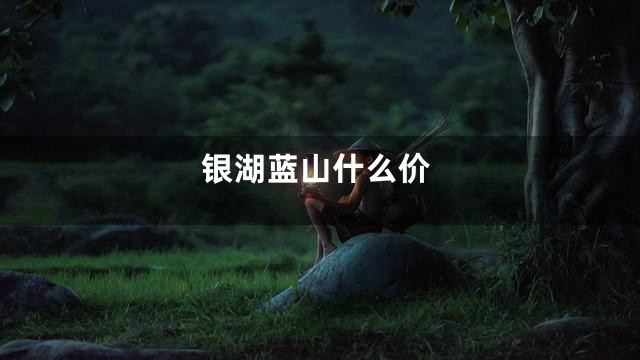 银湖蓝山什么价