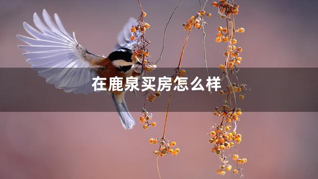 在鹿泉买房怎么样