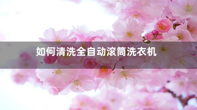 如何清洗全自动滚筒洗衣机