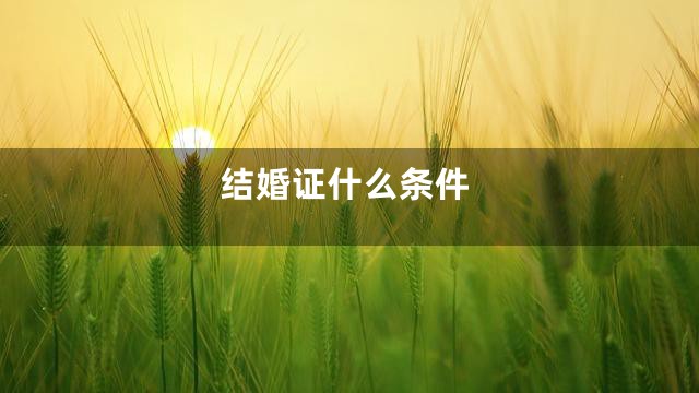 结婚证什么条件