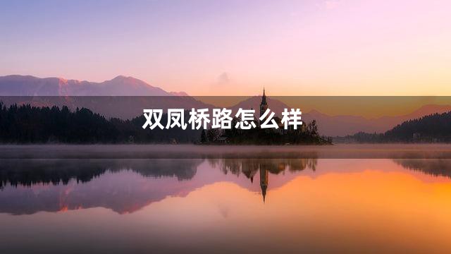 双凤桥路怎么样