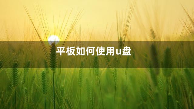 平板如何使用u盘