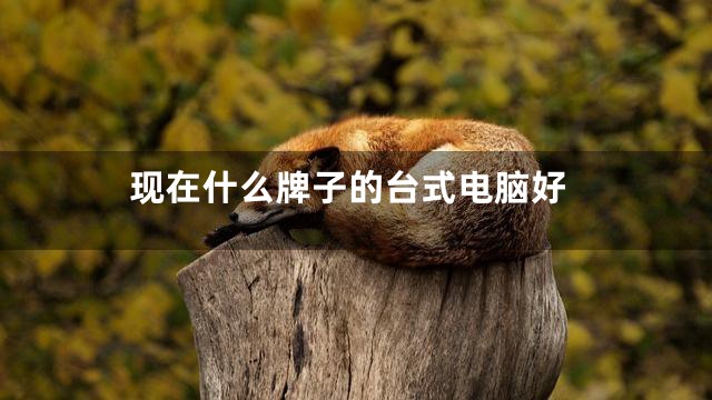 现在什么牌子的台式电脑好