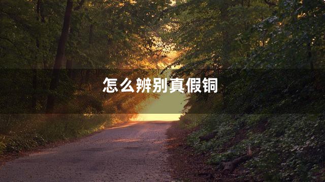 怎么辨别真假铜