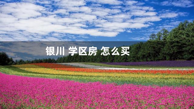 银川 学区房 怎么买
