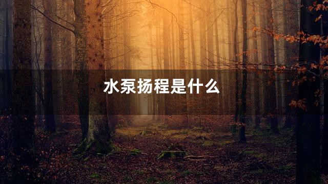 水泵扬程是什么