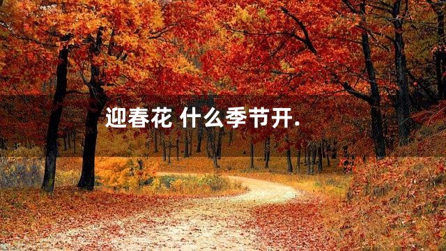 迎春花 什么季节开.