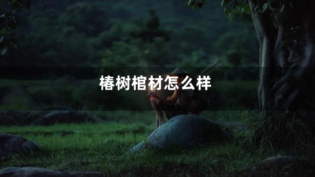 椿树棺材怎么样