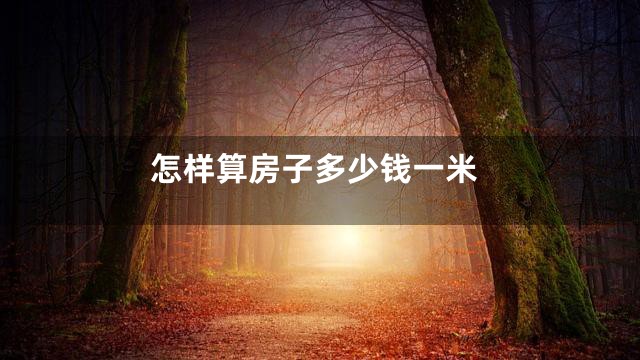 怎样算房子多少钱一米