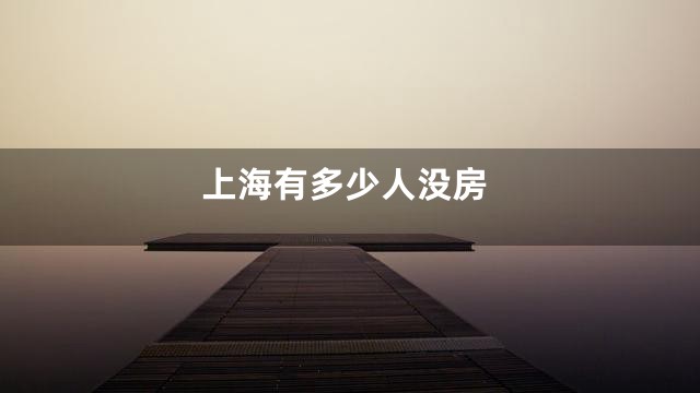 上海有多少人没房