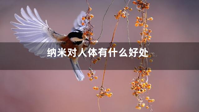 纳米对人体有什么好处