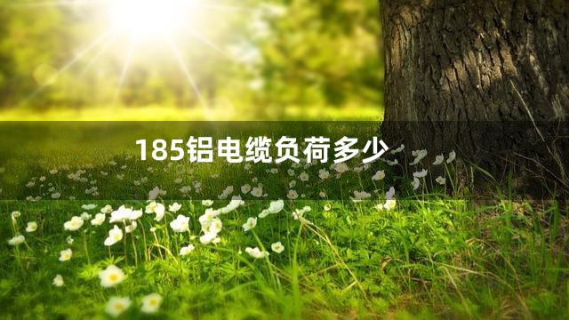 185铝电缆负荷多少