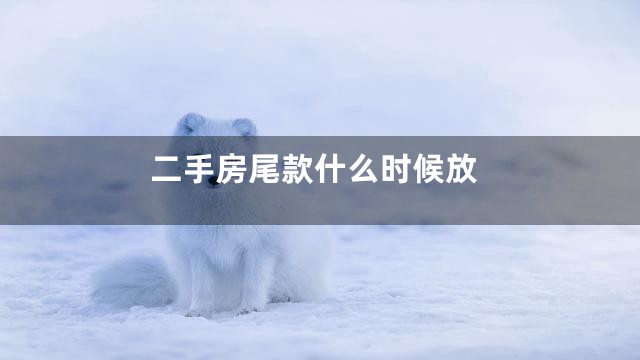 二手房尾款什么时候放