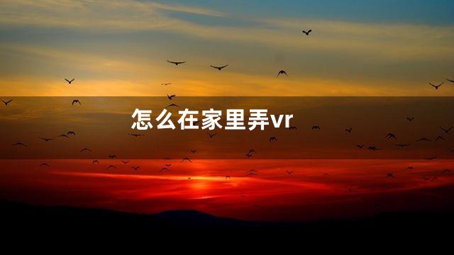 怎么在家里弄vr