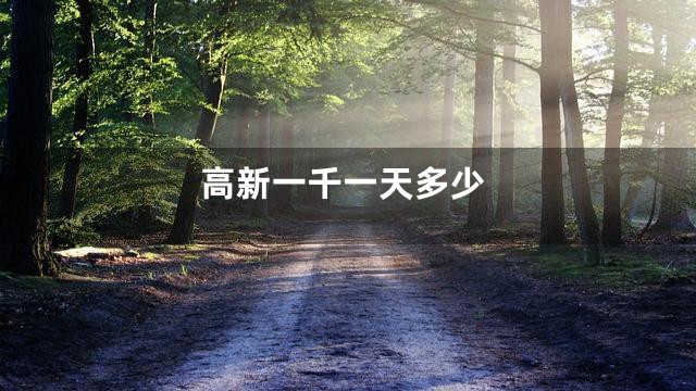 高新一千一天多少