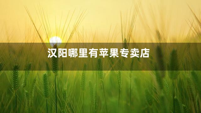 汉阳哪里有苹果专卖店