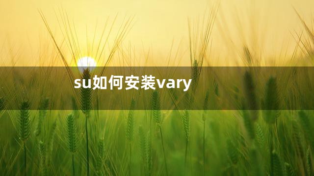 su如何安装vary