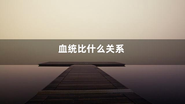 血统比什么关系