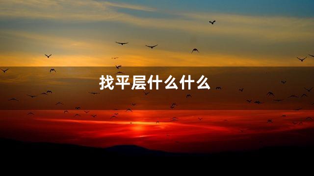 找平层什么什么