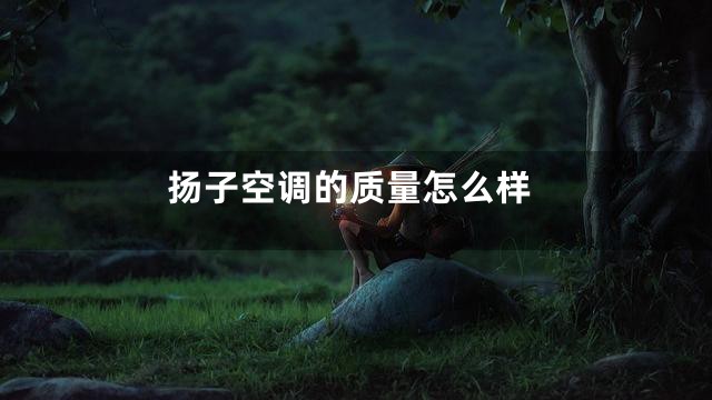 扬子空调的质量怎么样