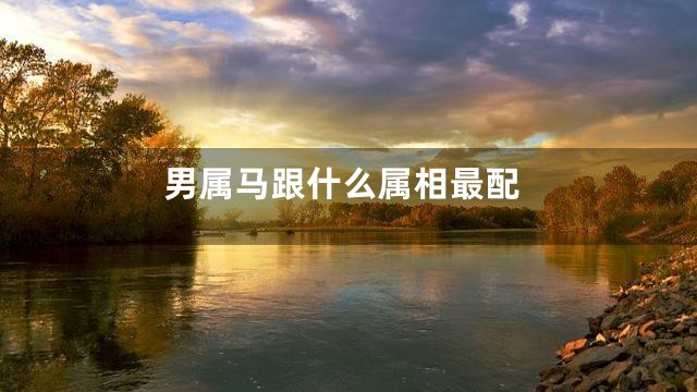 男属马跟什么属相最配
