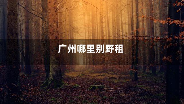 广州哪里别野租