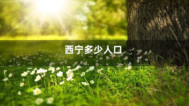 西宁多少人口