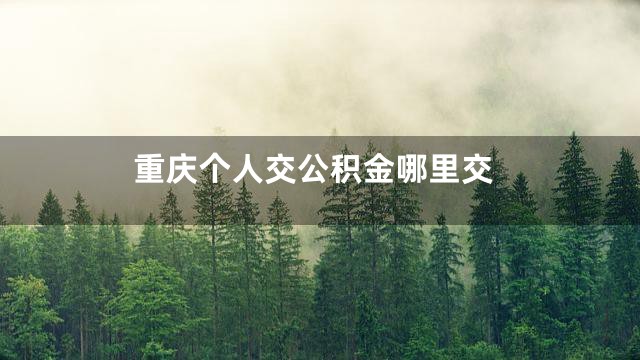 重庆个人交公积金哪里交