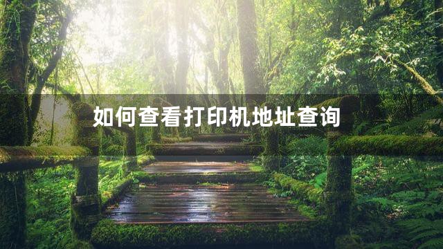 如何查看打印机地址查询
