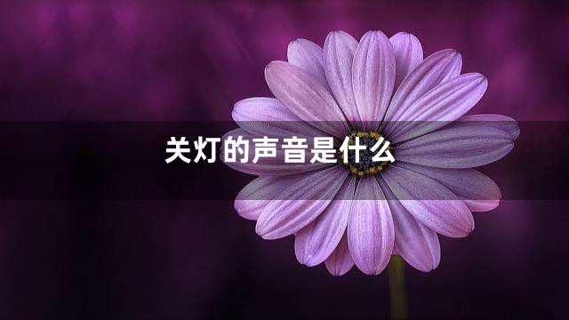 关灯的声音是什么
