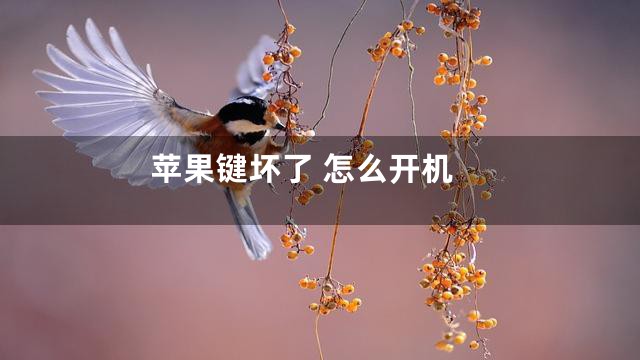 苹果键坏了 怎么开机