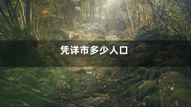 凭详市多少人口